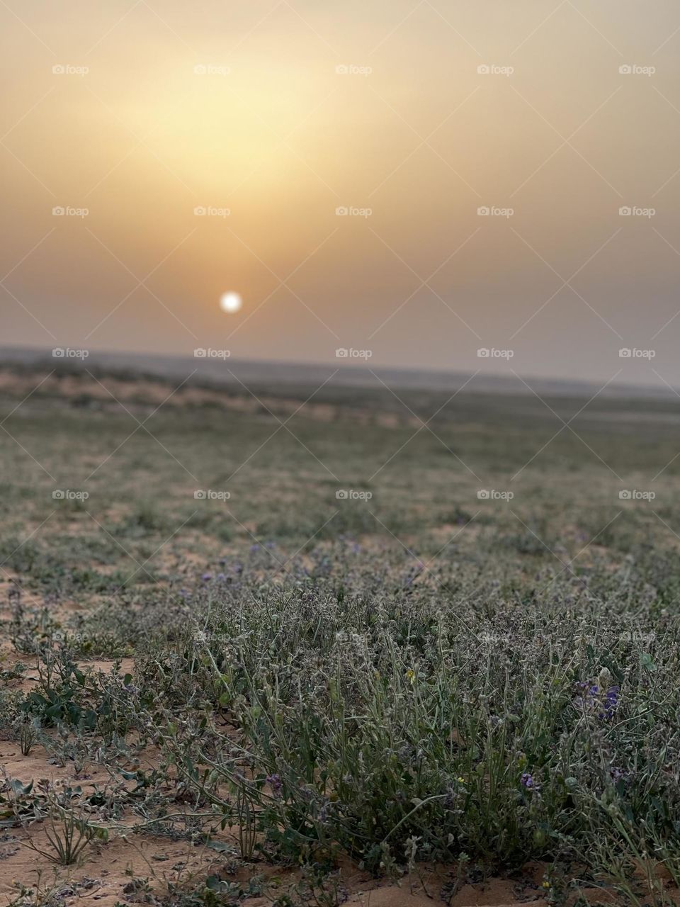 Sunrise in the desert of Saudi Arabia