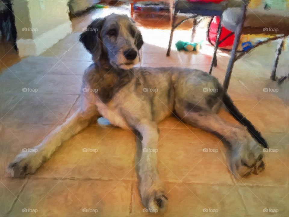 woofy Photo painting. woofy is hanging out on the kitchen tile after a long day running around the yard and getting sprayed by the hose