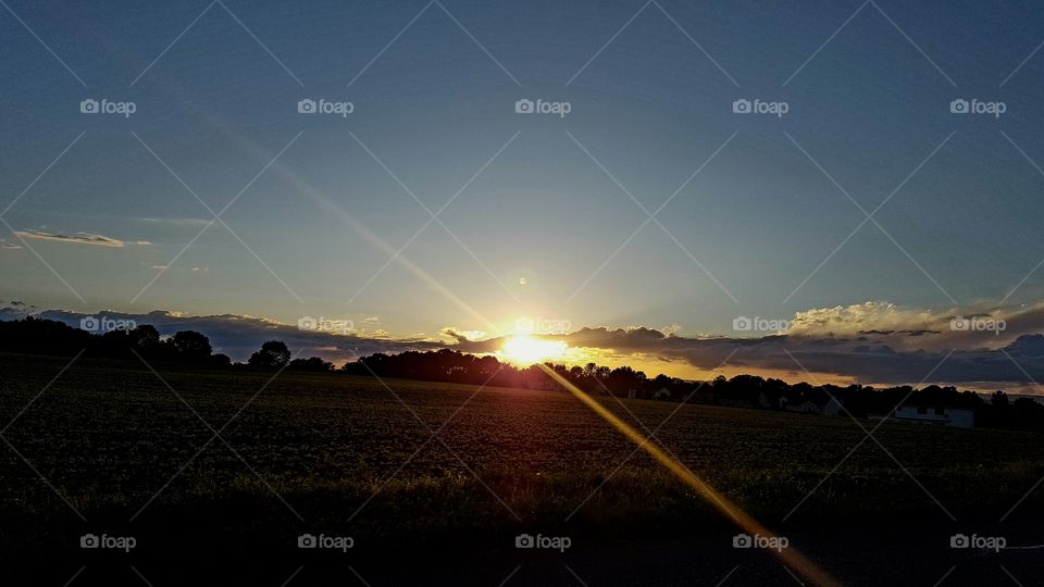Sunset field