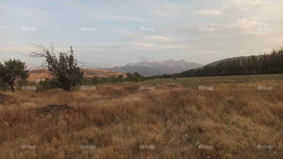 mountains around Bishkek with yellow grass