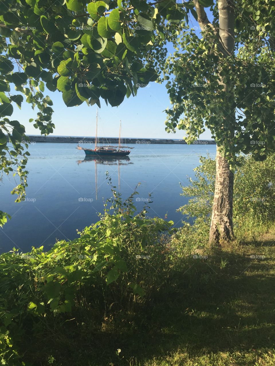 Sailboat on the Lake