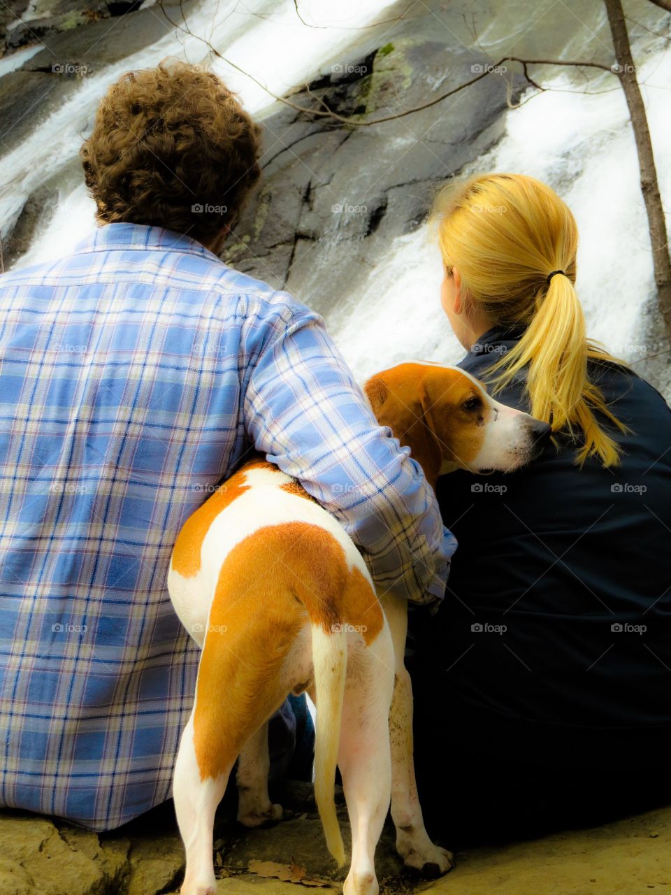 Rear view of a couple sitting near the waterfall with dog