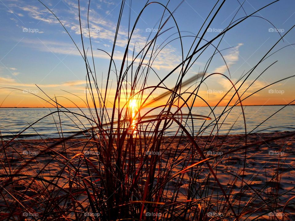 A magnificent Golden Hour Sunset descending is seen through the reeds along the sandy beach