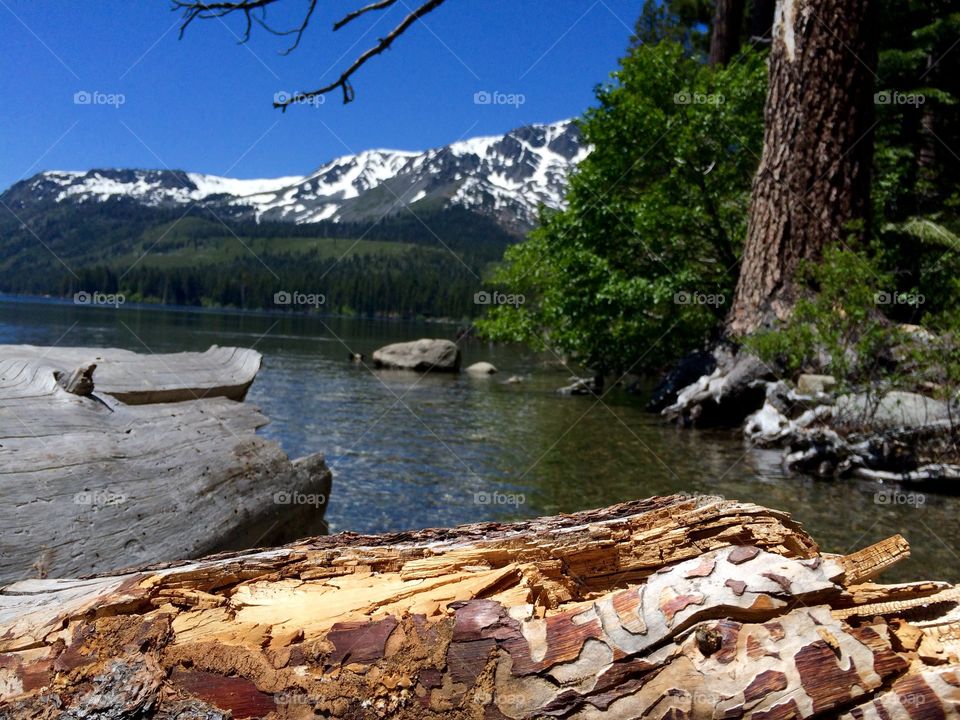 Fallen leaf lake, CA