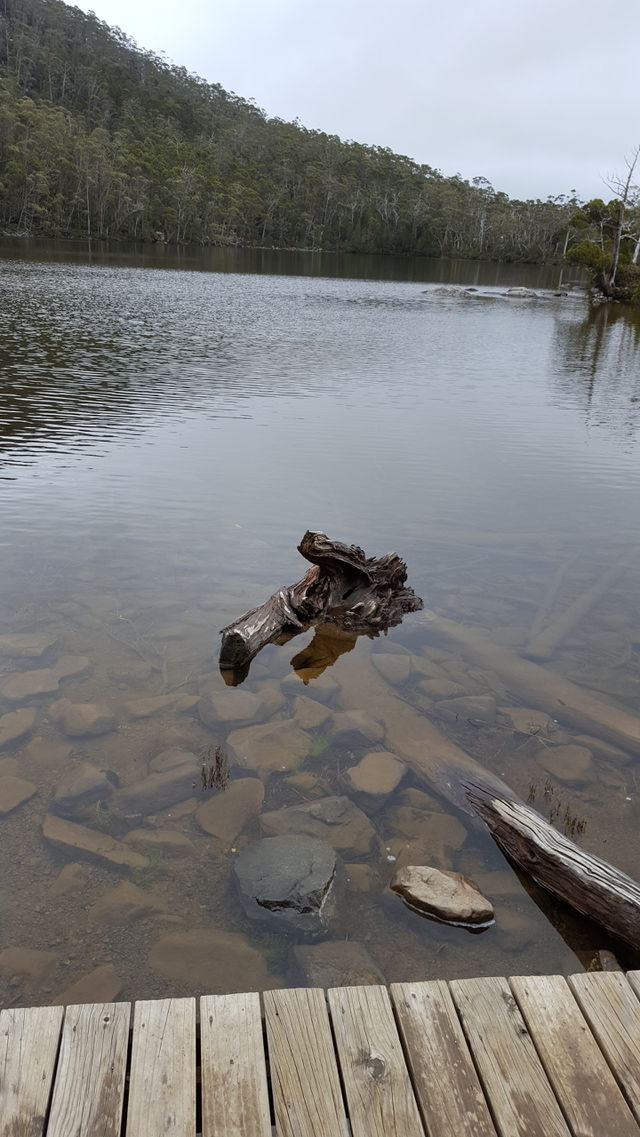 Lake Dobson