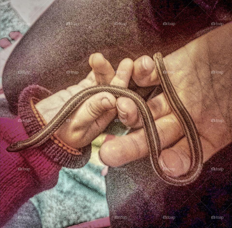 little garden snake friend