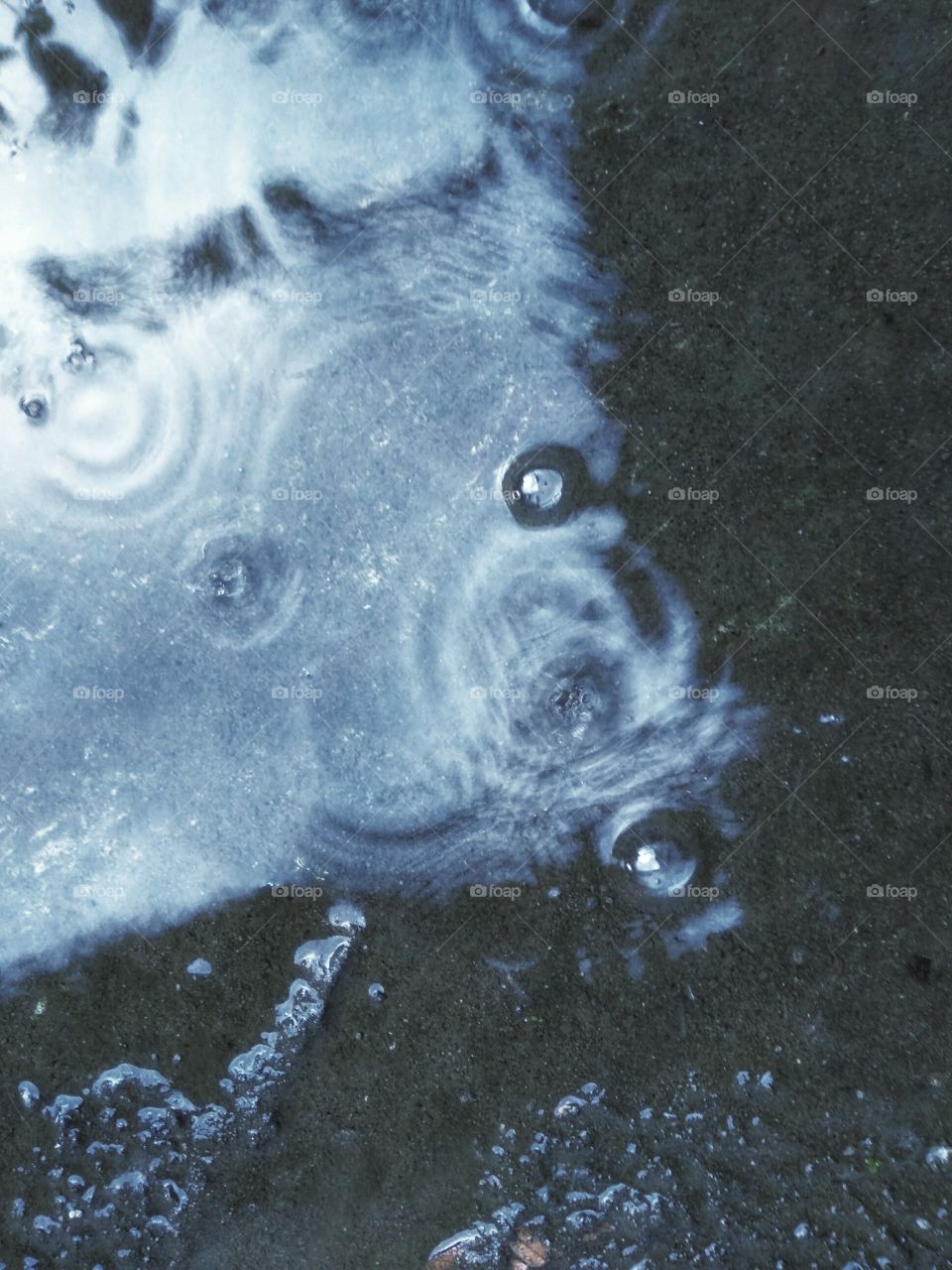 The art of a dog face -shaped rain bubble