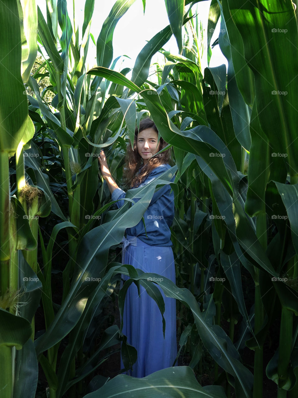 Beautiful woman standing in corn field