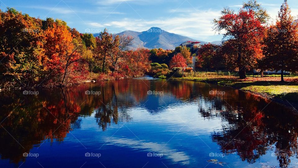 Autumn trees reflected on water