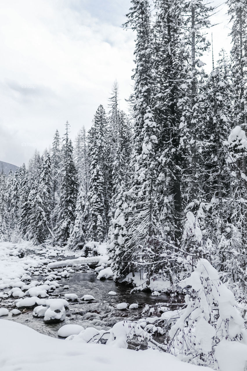 Snowy winter days in the mountains. Going on a nice morning hike up to a gorgeous mountain hot spring for a nice soak. 