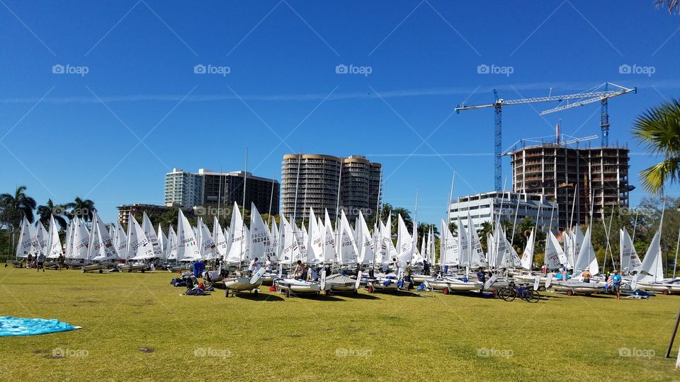 sailboats in the city