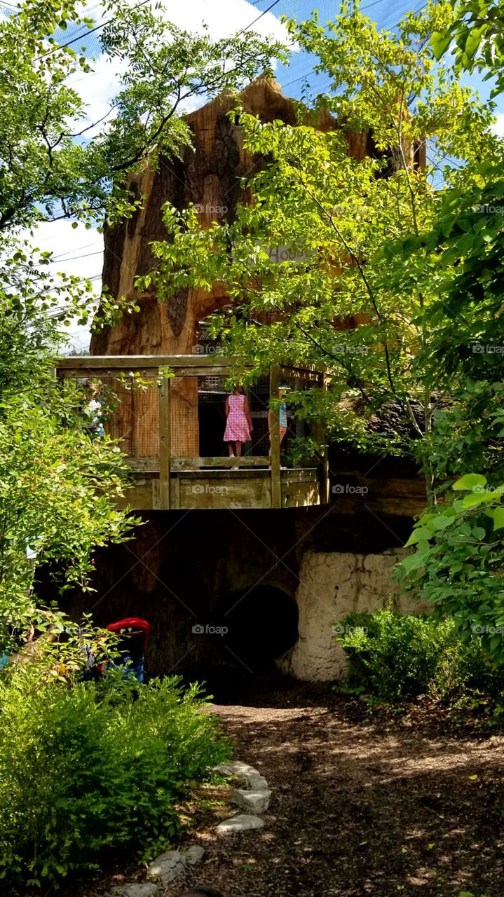 Treehouse, a place where you can be a kid forever