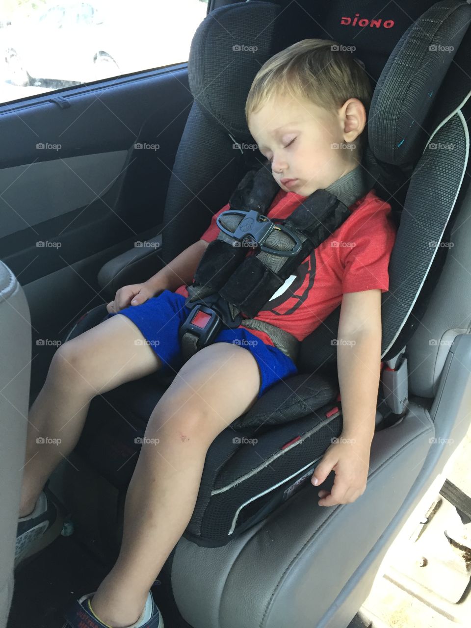 Cute boy sleeping in car