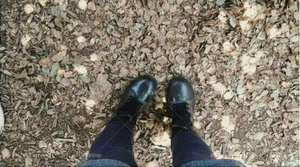 My shoes and leaves