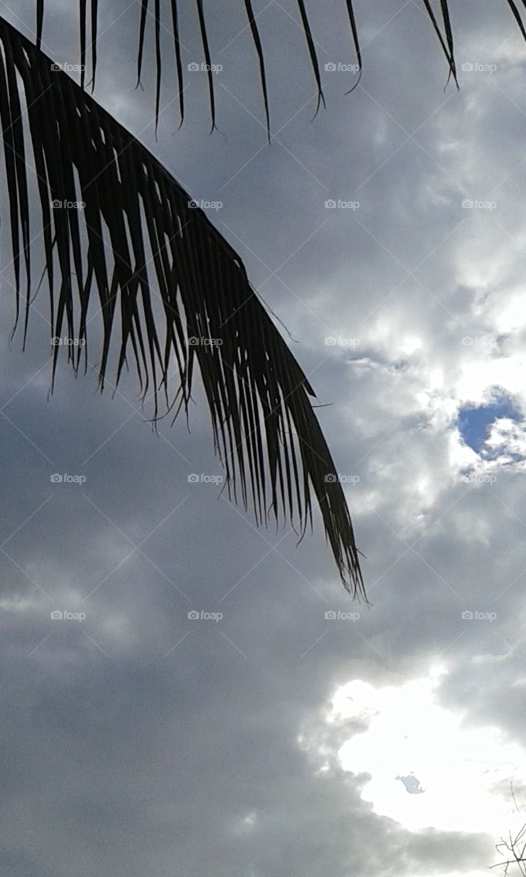 Sky, No Person, Landscape, Nature, Bird