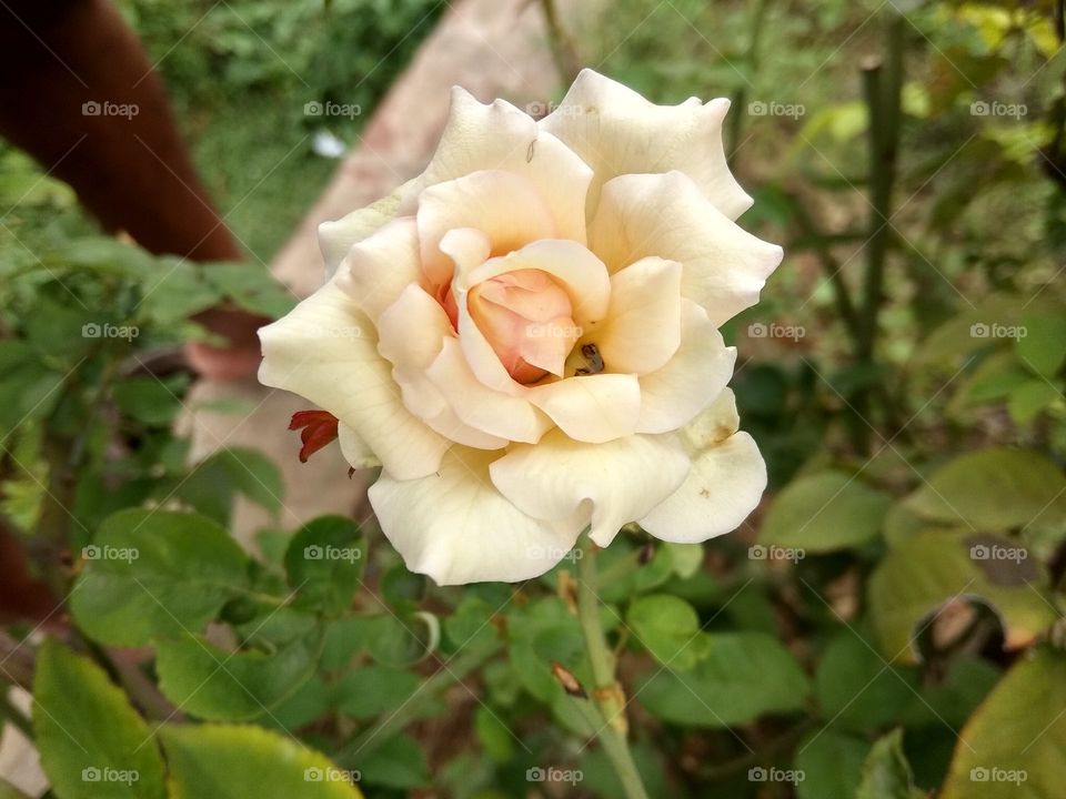 zoom in enjoy person...see...