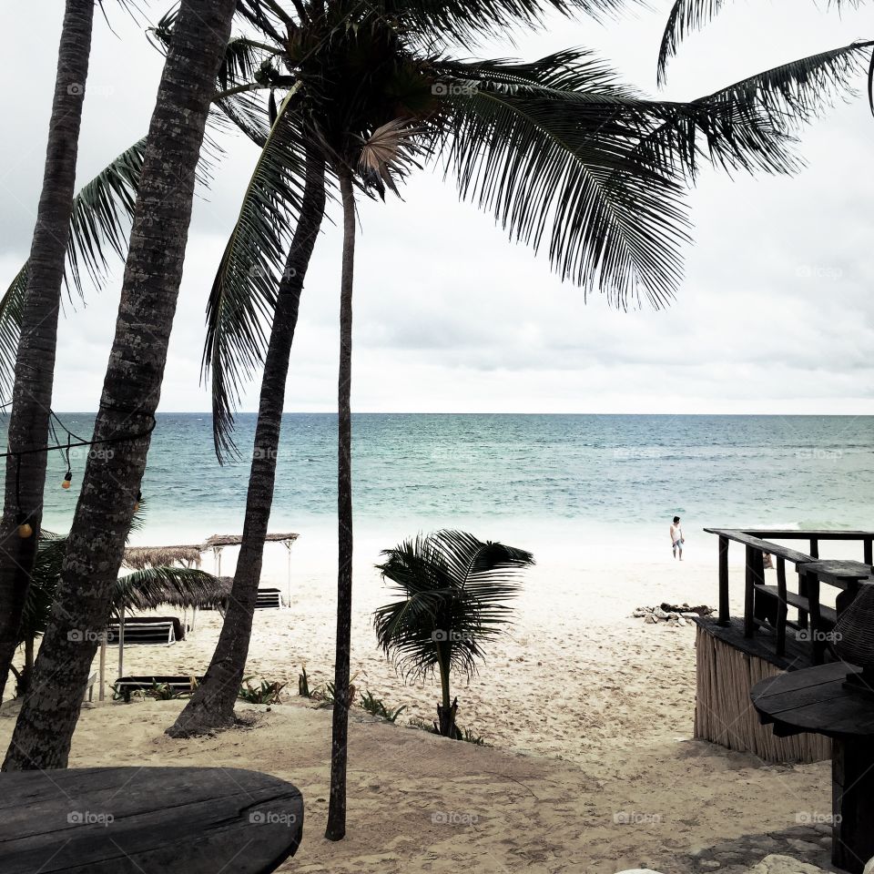 Beach, Tropical, Sand, Ocean, Seashore