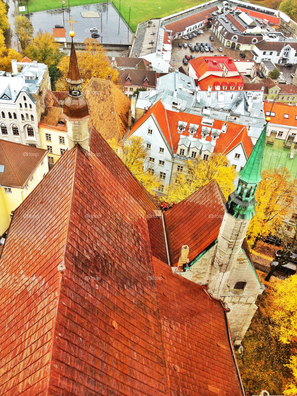 tallinn city red roof by penguincody