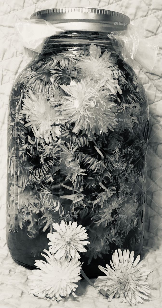 Dandelions jarred 