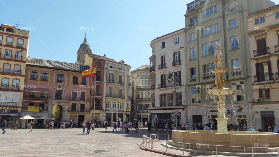 malaga