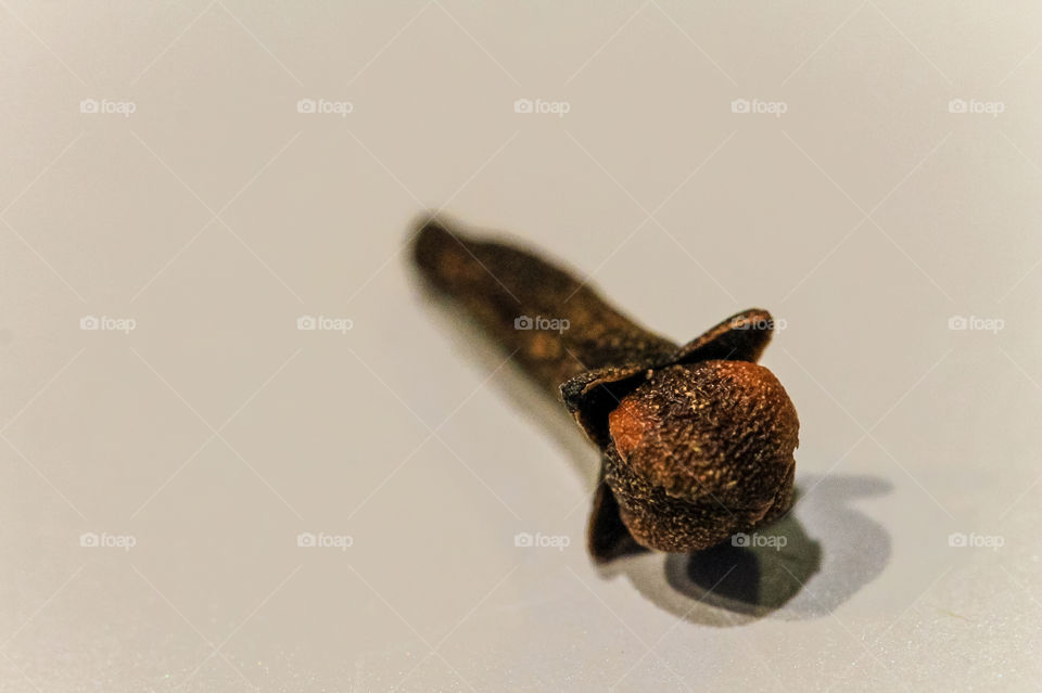 Macro shot of a single clove. Cloves are the aromatic, dried, unopened flower buds of Syzygium aromaticum, an evergreen tree in the myrtle family. They come from Madagascar, Indonesia & Sri Lanka. 