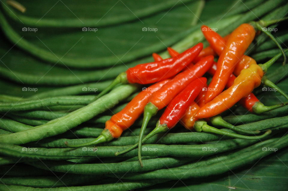 chili pepper - close up