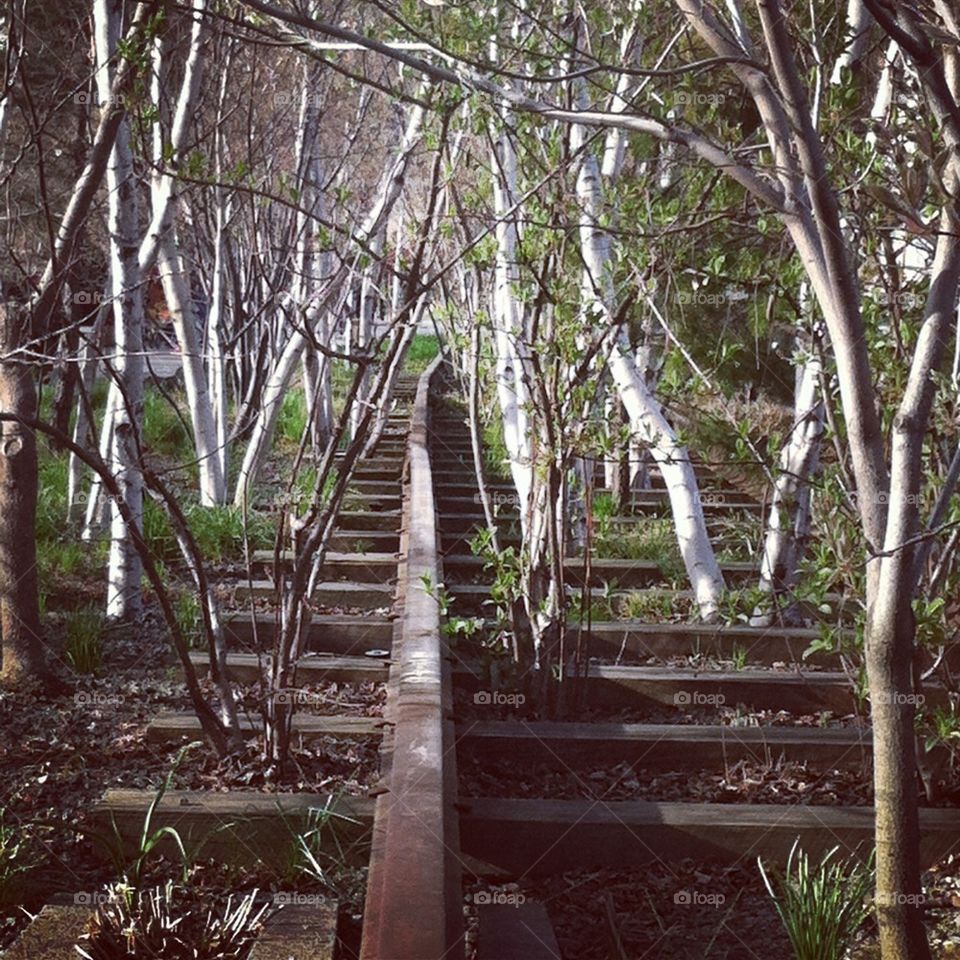 Rail in HighLine Park