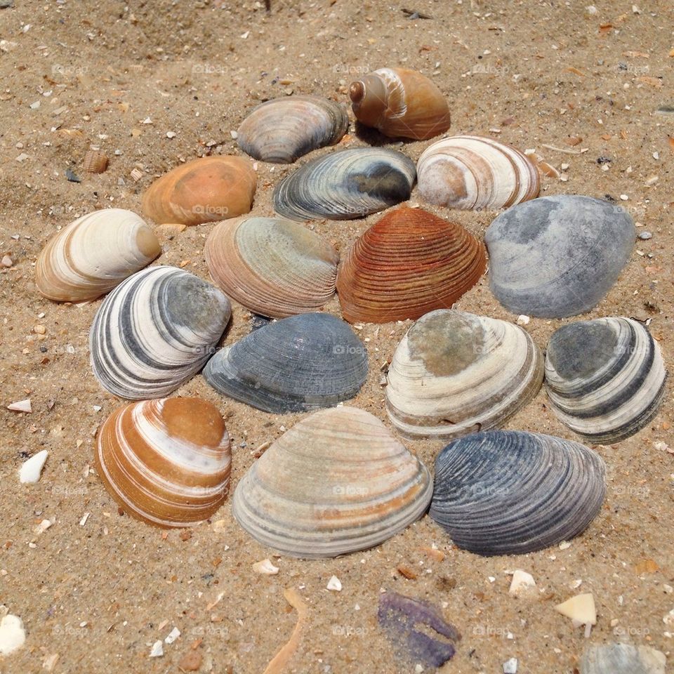 Shells