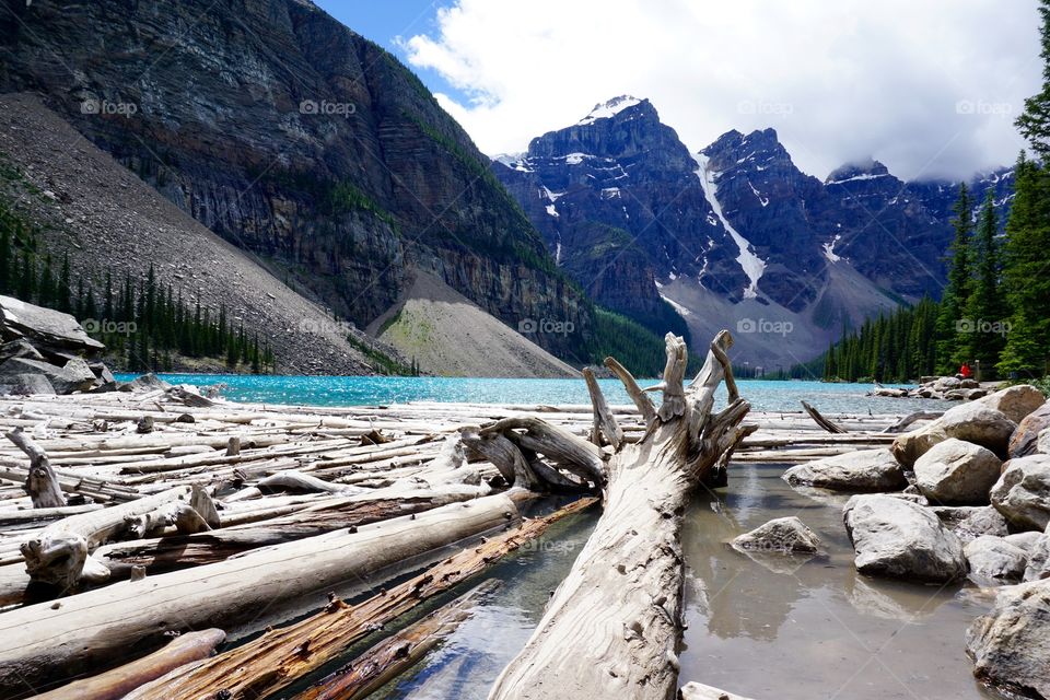 Beautiful Canadian Lake  with logs 