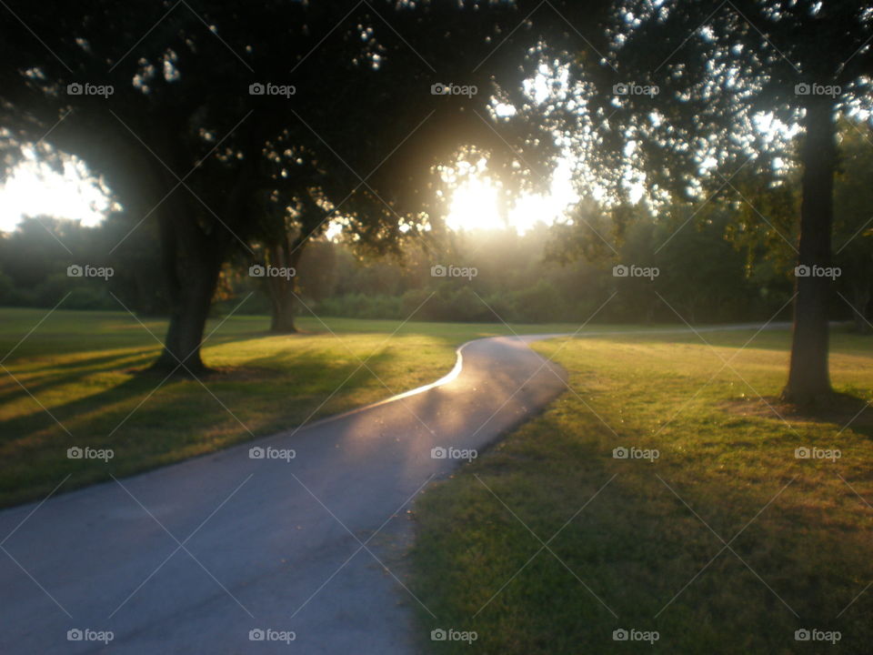 Walking along a path in a park just before sunset. The sun peeks through the trees. 