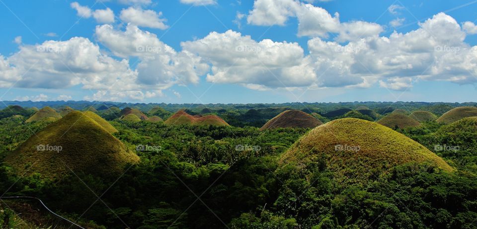 chocolate hills