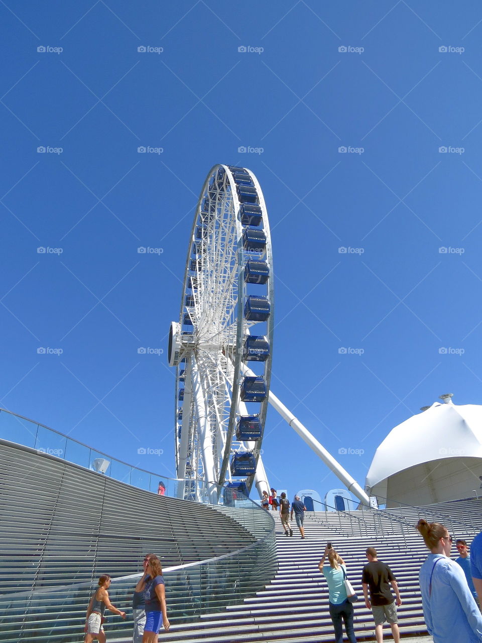 Chicago Navy Pier