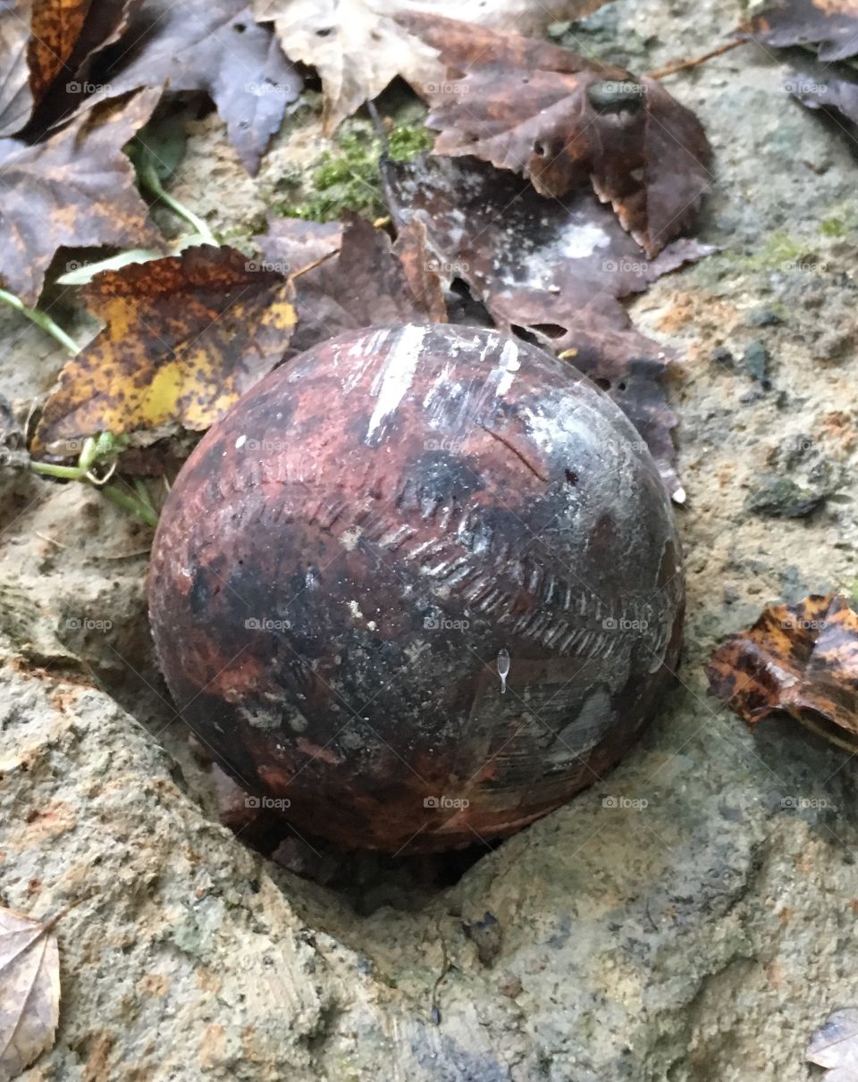 Prehistoric baseball