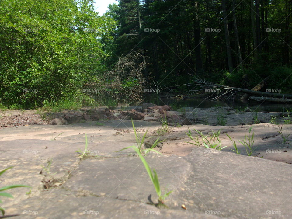 Landscape, Environment, Nature, Wood, No Person