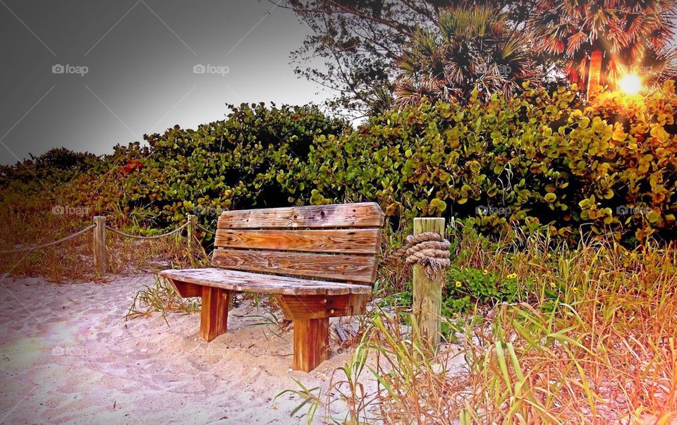 Weathered beach bench