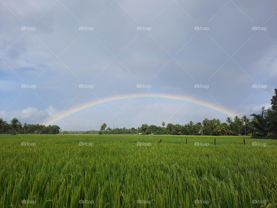 The sky has finally opened, revealing its true colors.