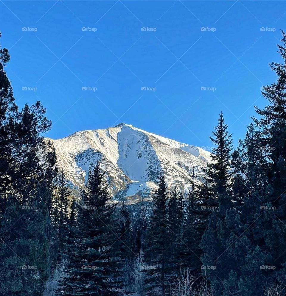 Mt. Sopris soaking up the sun. 🌞