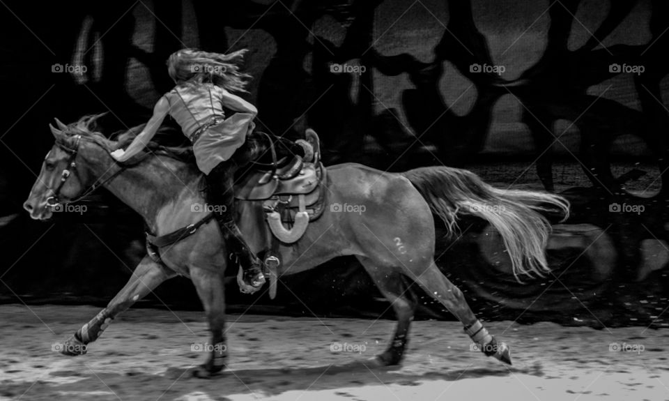Asia China Beijing Cavalia horse show sex woman jump on a fast horse fast horse black and white