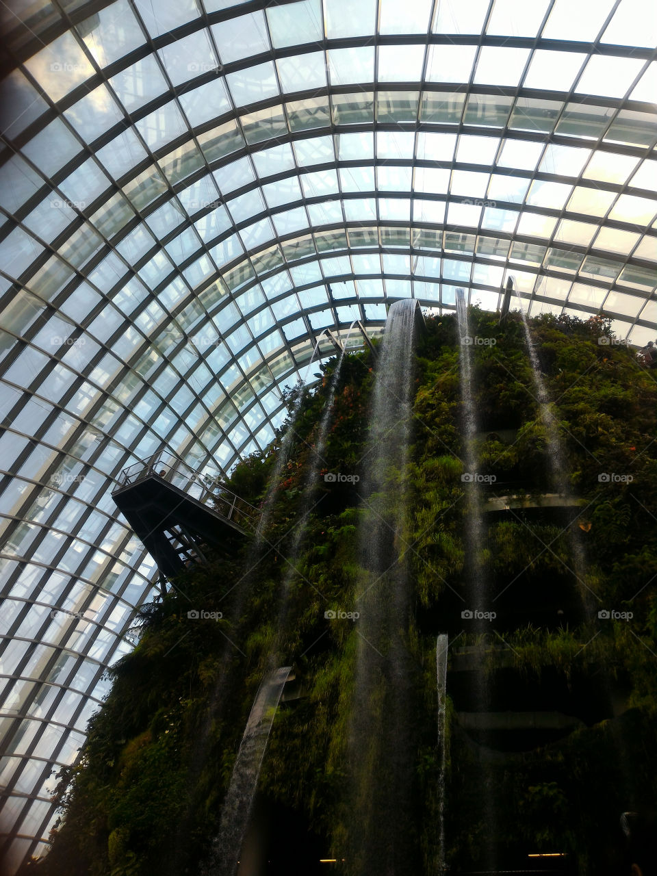The tallest manmade falls, Cloud Forest in Singapore, tourist destination