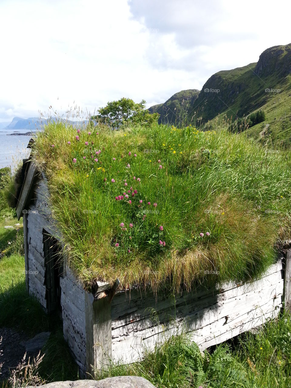Summer vacation in Norway Runde island.