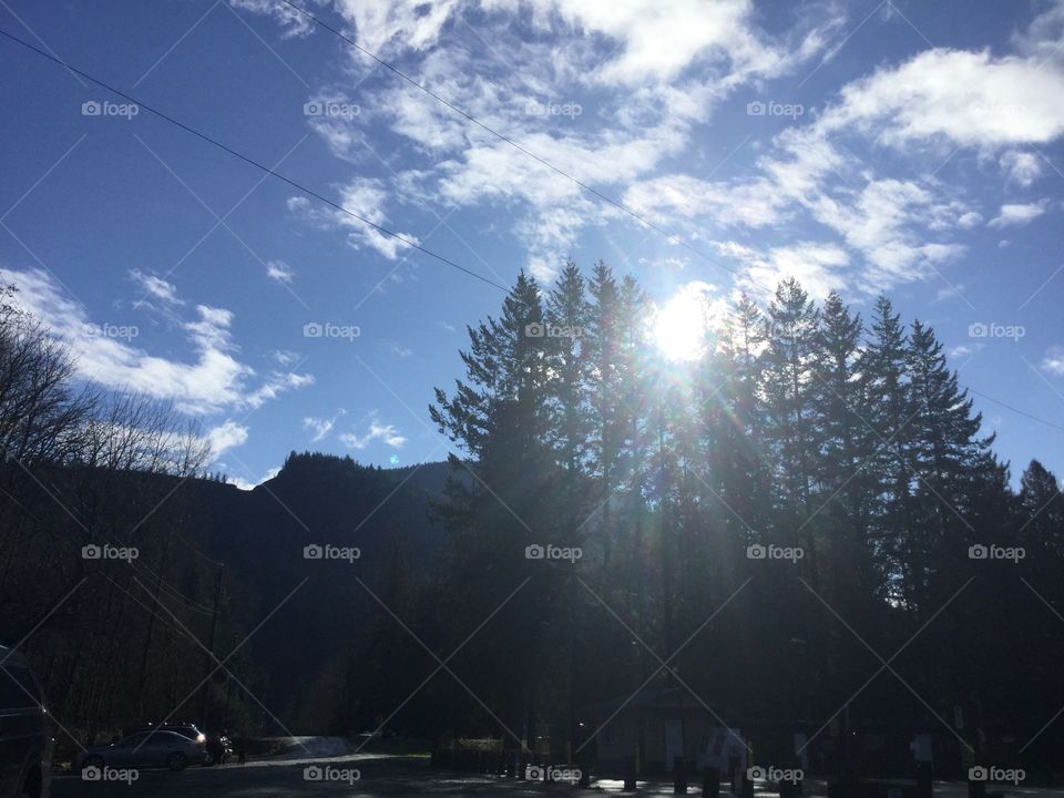 Light shining Through the trees in Chilliwack 