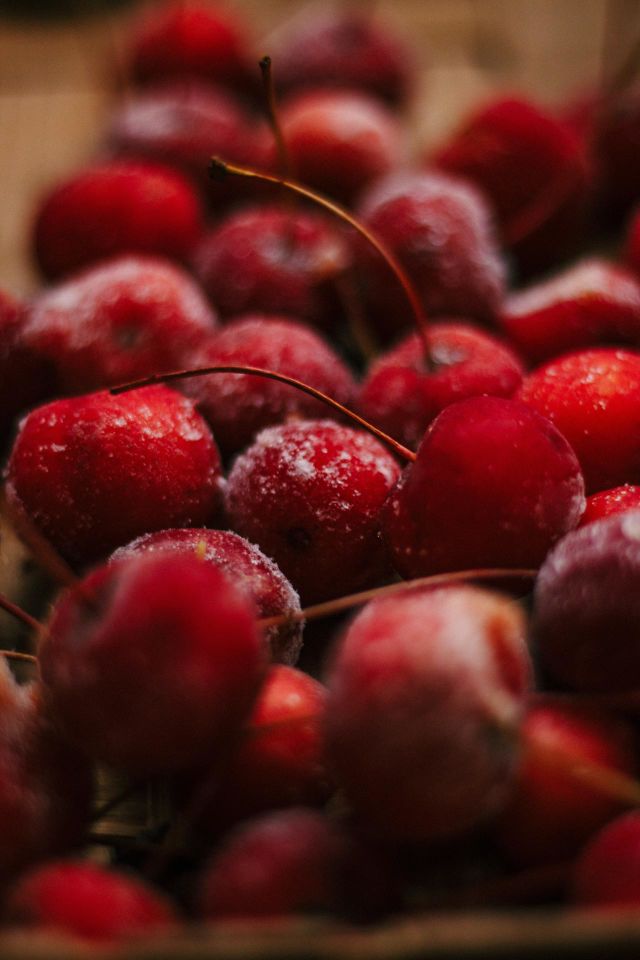 red berries