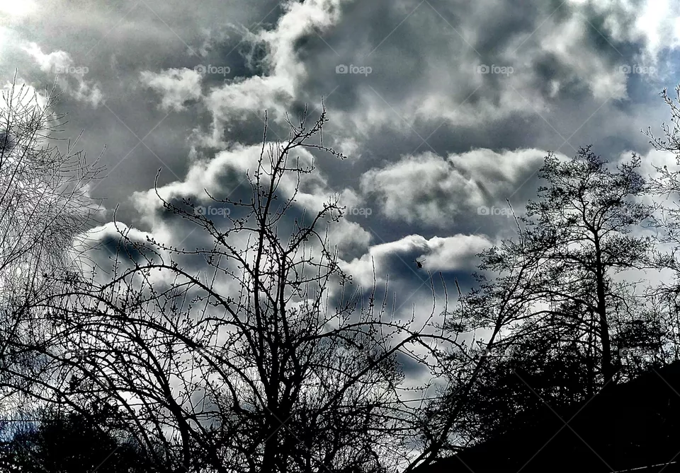 Sky