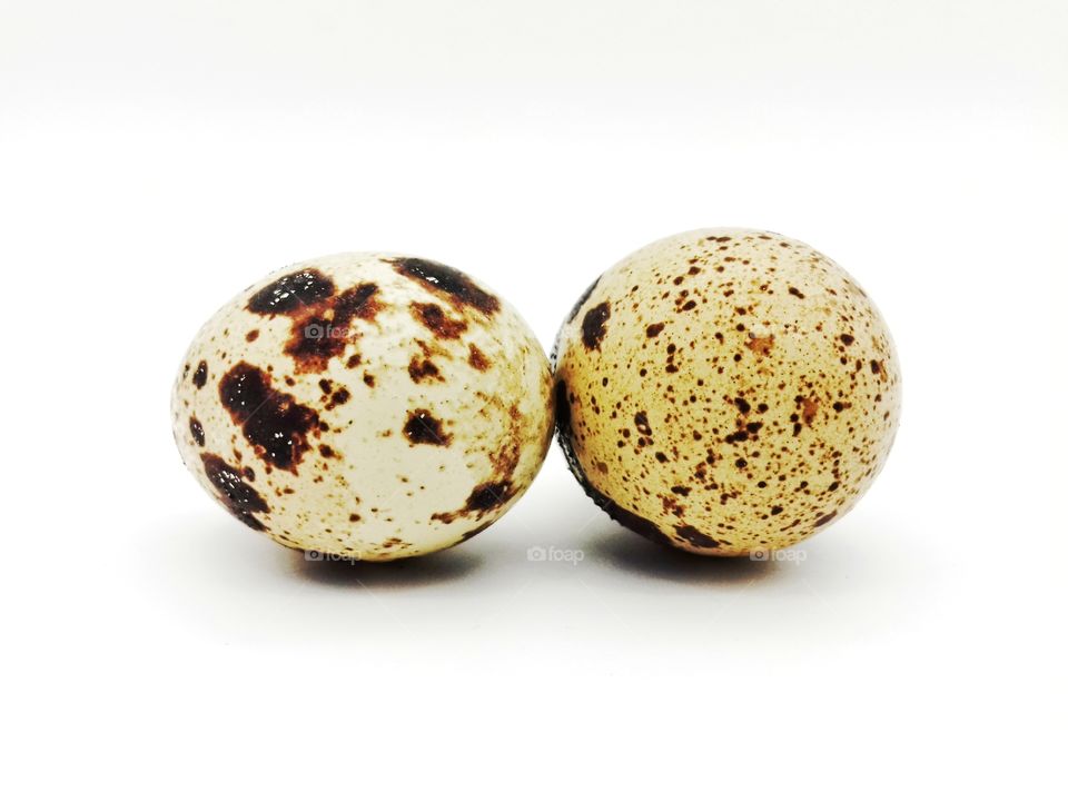the little quail eggs on white background