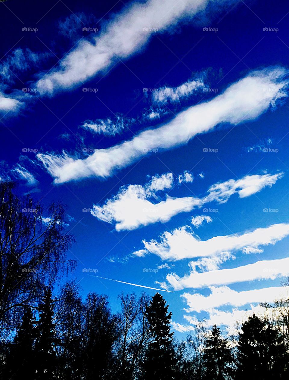 lines of clouds against a blue sky