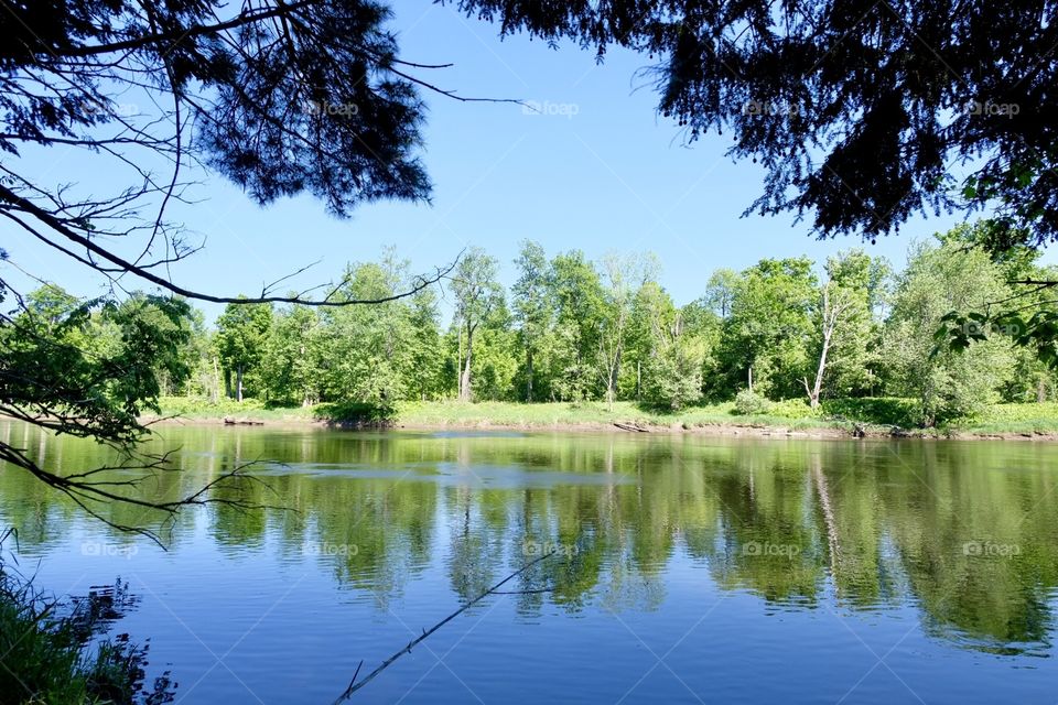 Other lakeside from in the branches