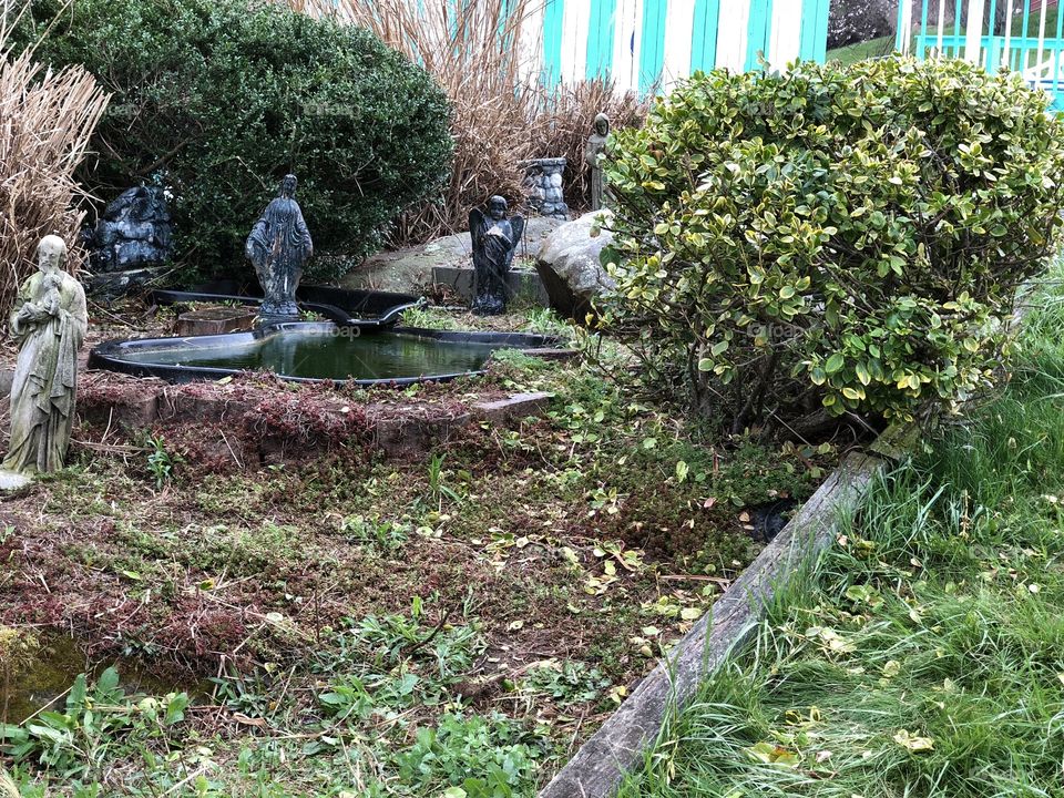 Pond the is beautiful.