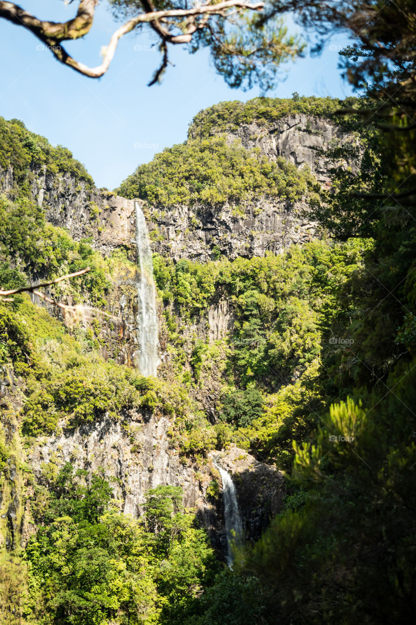 Cascade in Madeira 