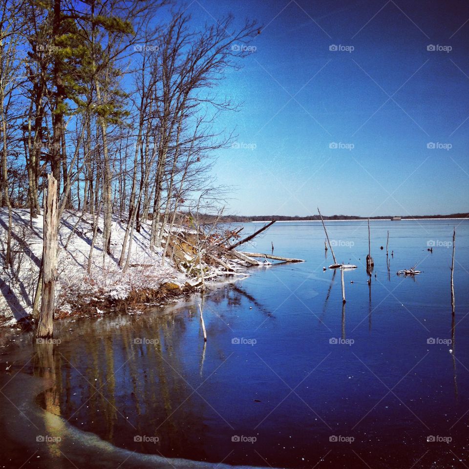 Winter scene on the lake