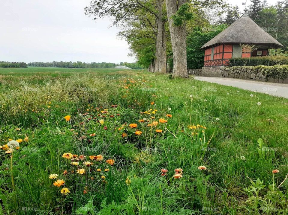 meadow at the entrance to the Odense Romantic Garden